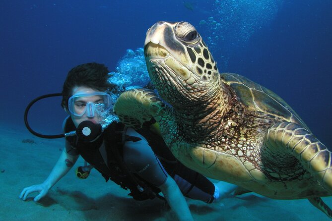 Intro/Refresher Dive Swim Ability Required - What Happens Before You Enter the Water