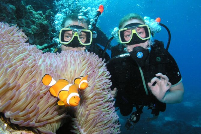 Intro Scuba Diving: 2 Dive Stops With Lunch & transfer - Hurghada - Who should book this experience