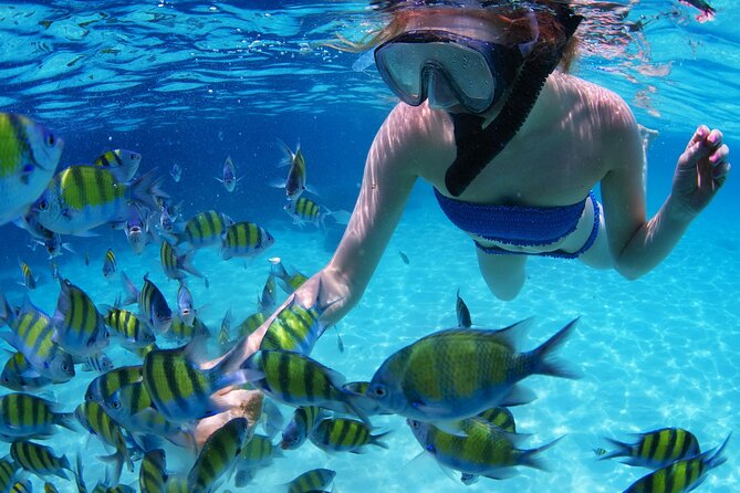 Intro Scuba Diving 2 Stops Trip with Transfers & Lunch - Hurghada - The second stop and the question of variety