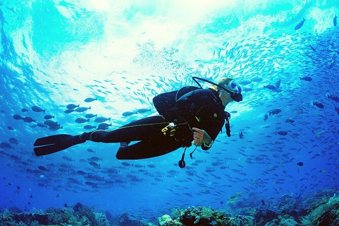 Intro Scuba Diving 2 Stops Trip with Transfers & Lunch - Hurghada - Gear, safety, and hygiene