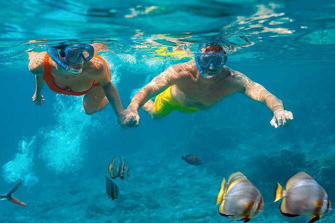 Intro Scuba Diving 2 Stops Trip with Transfers & Lunch - Hurghada - What happens before the first underwater session
