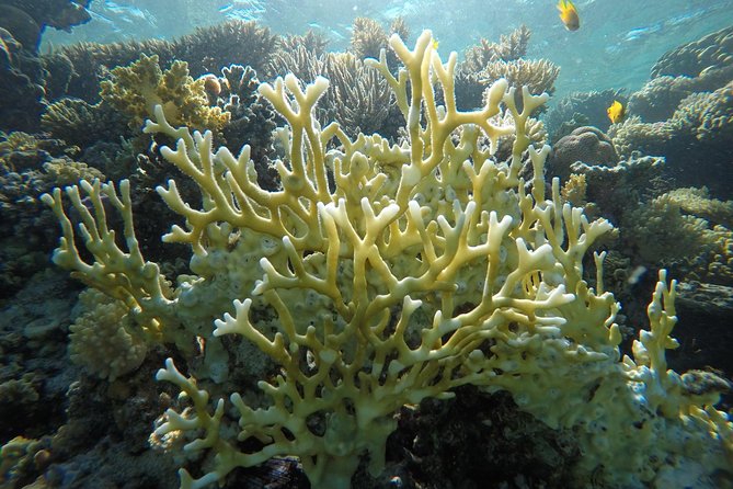 Intro Scuba Diving - Starting from Hurghada’s hotels and marina
