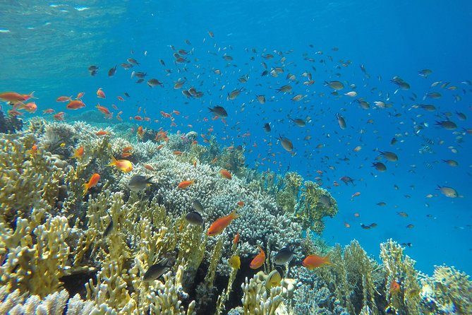 Intro Scuba Diving - Lunch and a relaxed afternoon on the boat