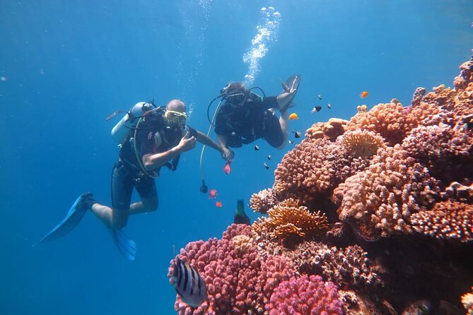 Intro Scuba Diving - Returning to shore and your hotel