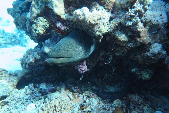 Intro Scuba Diving - What the $23.26 price really covers
