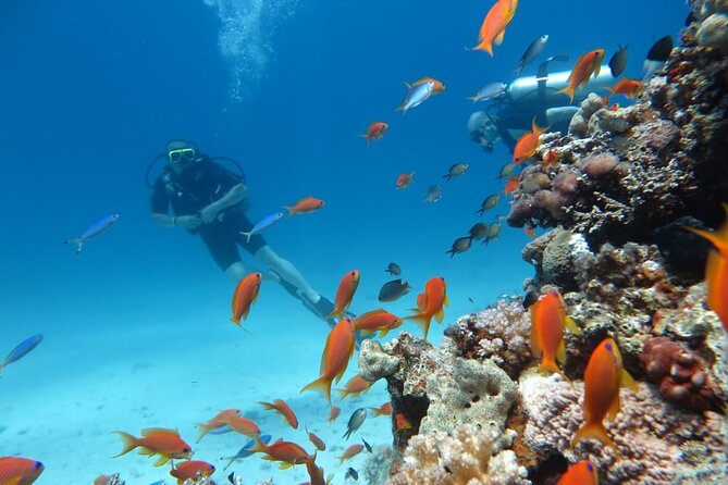 Intro Scuba Diving - The crew, service, and small details that matter