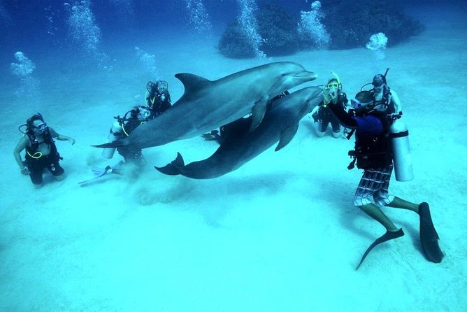 Intro Scuba Diving Beginners Full Day Boat Trip 2 Stops Diving & Lunch– Hurghada - Key points at a glance