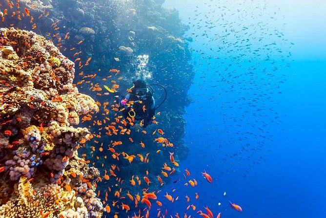 Intro Scuba Diving Beginners Full Day Boat Trip 2 Stops Diving & Lunch– Hurghada - Lunch breaks up a long morning
