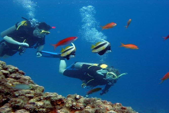 Intro Scuba Diving Beginners Full Day Boat Trip 2 Stops Diving & Lunch– Hurghada - Equipment and safety for first-timers