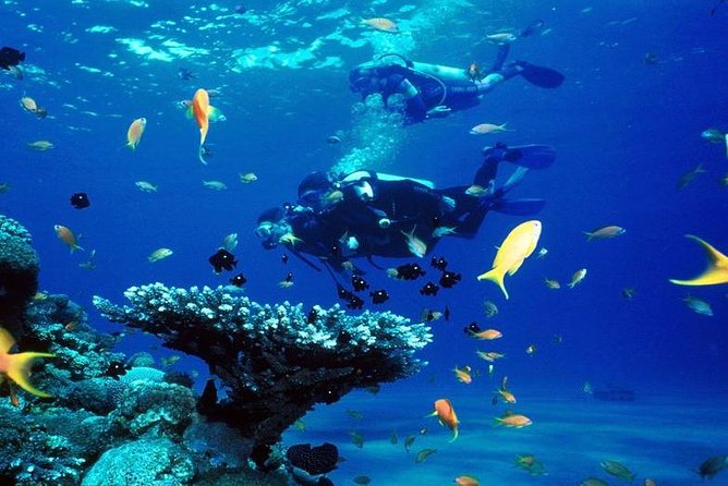 Intro Scuba Diving Beginners Full Day Boat Trip 2 Stops Diving & Lunch– Hurghada - Hotel pickup is useful, but confirm the handoff