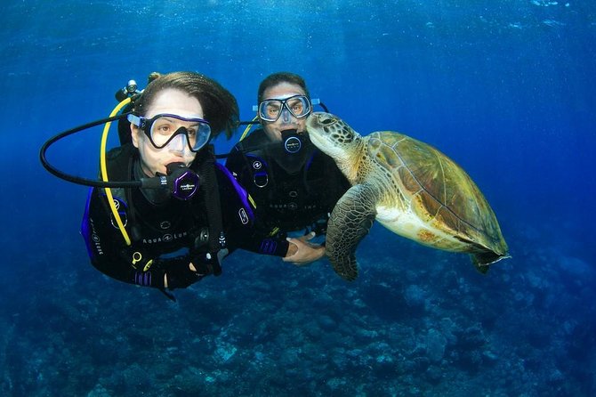 Intro Scuba Diving Experience in Hurghada - Key points to know before booking