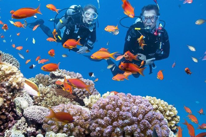 Intro Scuba Diving Experience in Hurghada - What the Hurghada scuba day is really like