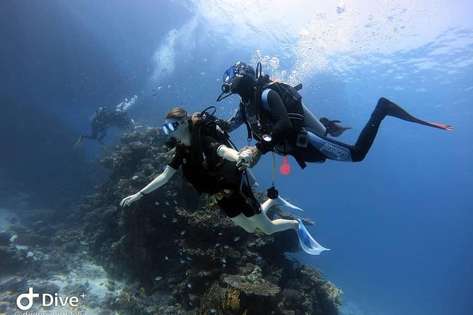 Intro Scuba Diving Experience in Hurghada - Who should book this Hurghada experience