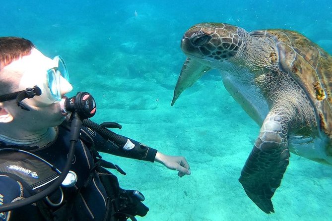 Intro Scuba Diving Experience in Hurghada - Learning the scuba equipment before entering the water
