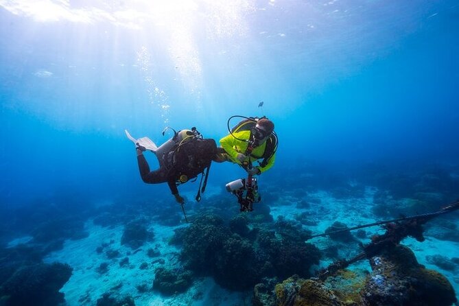 Intro Scuba Diving for beginners With (Lunch,Transfer) – Hurghada - Starting from Hurghada at 8:00 am