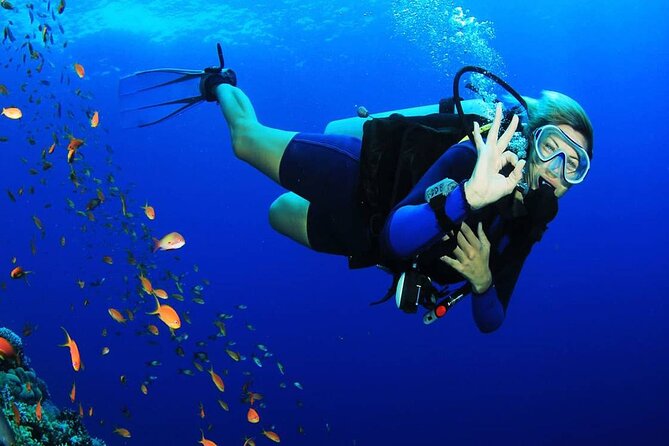 Intro Scuba Diving for beginners With (Lunch,Transfer) – Hurghada - Boat time between the underwater sessions