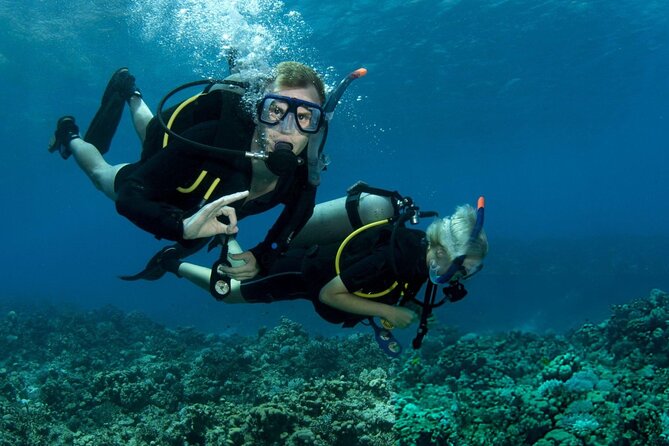 Intro Scuba Diving for beginners With (Lunch,Transfer) – Hurghada - Lunch and a proper break on board