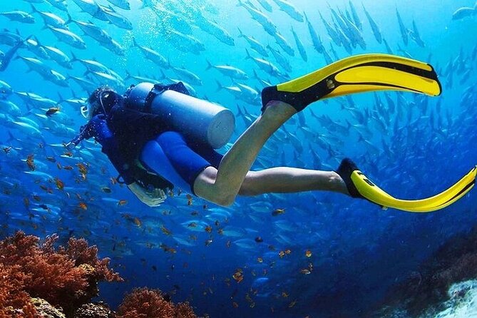 Intro Scuba Diving for beginners With (Lunch,Transfer) – Hurghada - Snorkeling, sun, and time to do less