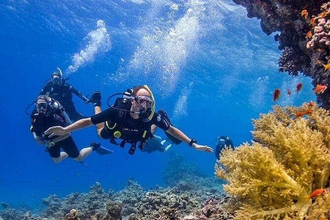 Intro Scuba Diving for beginners With (Lunch,Transfer) – Hurghada - What the $20 price really includes