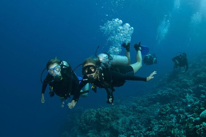 Intro Scuba Diving for beginners With (Lunch,Transfer) – Hurghada - Who will enjoy this Hurghada boat trip