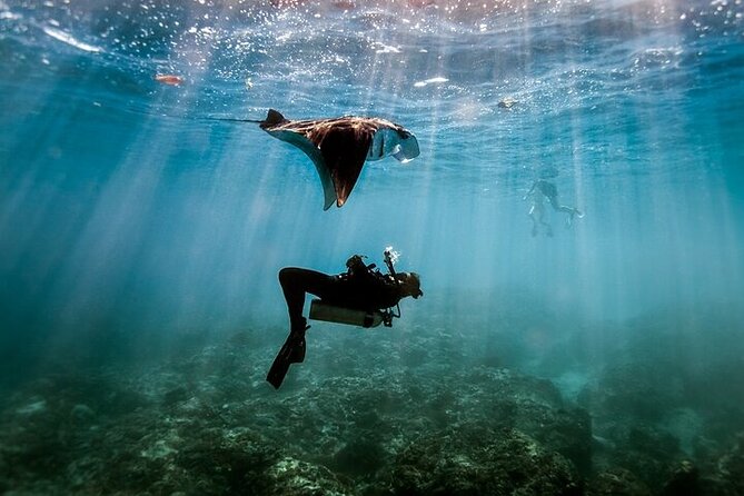 Intro Scuba Diving for beginners With (Lunch,Transfer) – Hurghada - Two beginner sites, not just one quick introduction