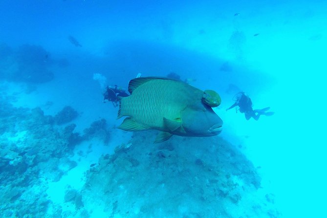 Intro Scuba Diving - The first session at roughly 6 meters