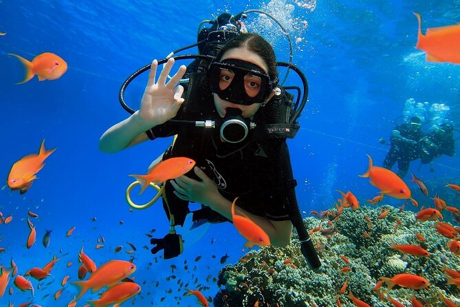 Introduction: Diving from the Reef in Sharm El Sheikh - A quick introduction to Sharm el Sheikh’s Red Sea
