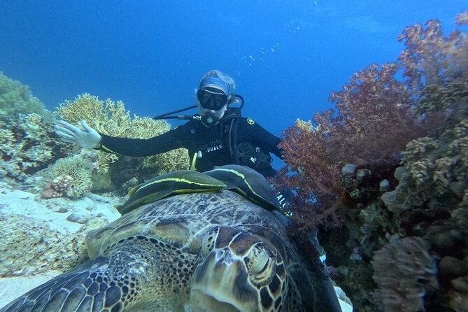 Introduction: Diving from the Reef in Sharm El Sheikh - What the $46.46 price really covers