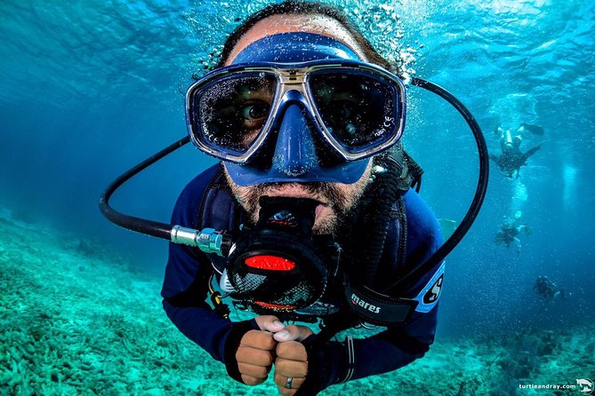 Introduction Shore Dive with Scubaçao (2 dives) - Quick facts for your Curaçao planning