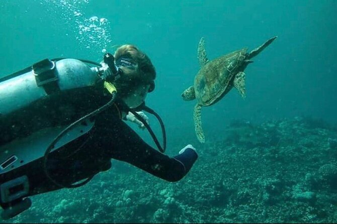 Introductory Beach Scuba Dive - What you actually receive for the cost