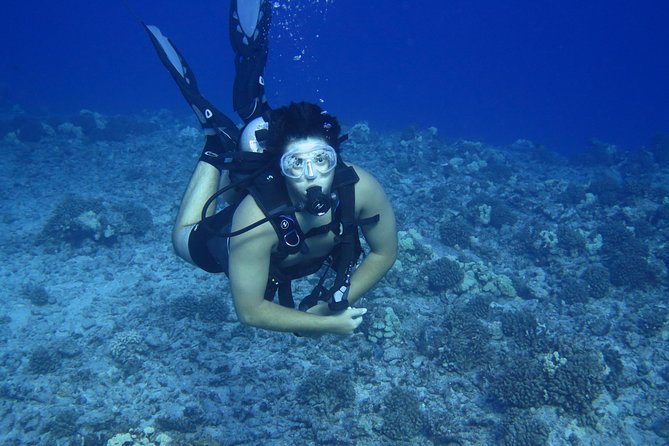 Introductory Beach Scuba Dive - How this compares with a standard snorkel stop