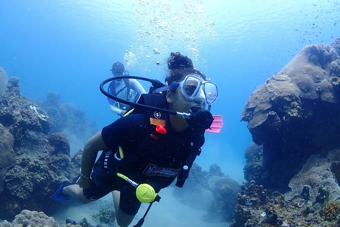 Introductory dive for non-certified divers - Key points to know before booking
