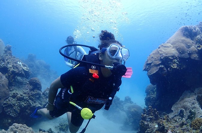 Introductory dive for non-certified divers - Two ocean sessions, not just a short demonstration