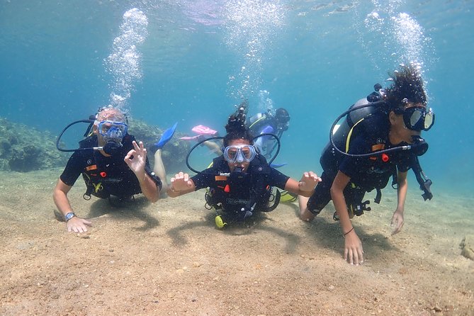 Introductory dive for non-certified divers - The morning lesson and first underwater attempt