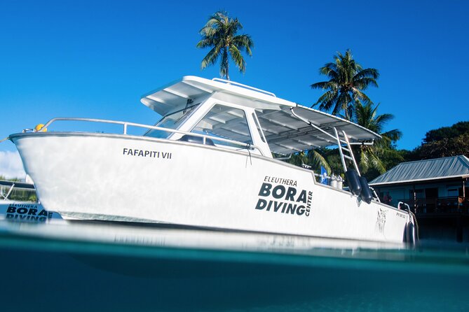 Introductory Dive in Bora Bora (afternoon) - Who will get the most from this experience
