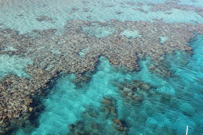 Introductory Dive in Eilat - Entering the Red Sea from Eilat’s coral-lined beach