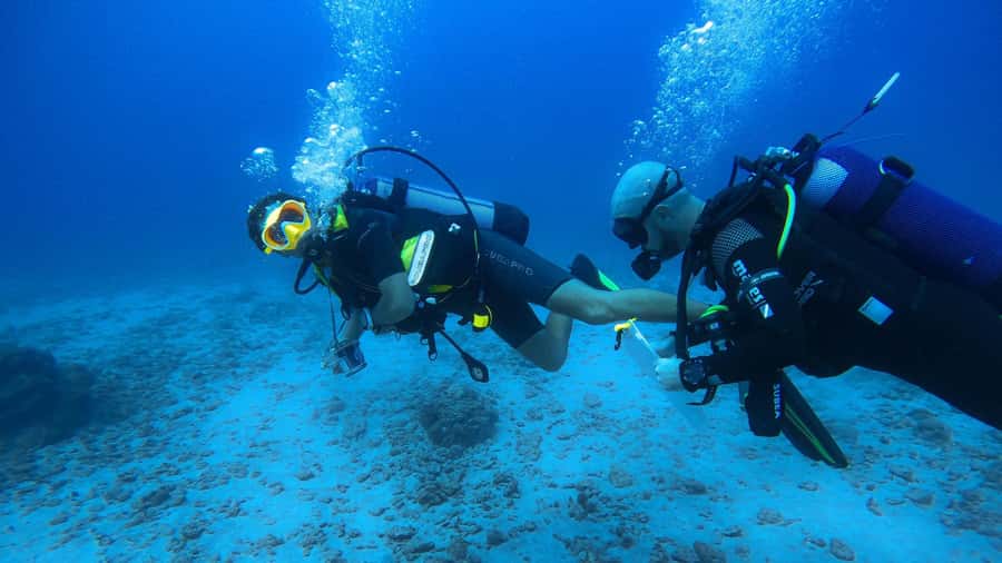 Introductory dive, to get started! - Key points to know before booking