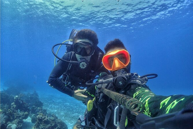 Introductory Diving Class in the Cozumel Reefs - Why Cozumel works well for a first underwater lesson