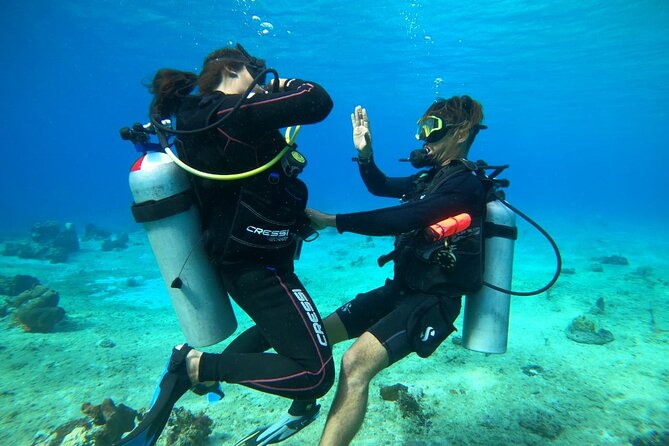 Introductory Diving Class in the Cozumel Reefs - From Marina Cozumel ASIPONA to the first lesson