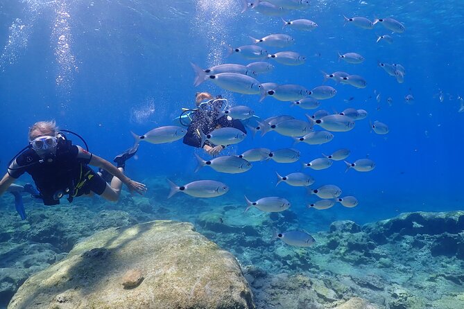 Introductory diving in small groups - Is $96.02 good value?