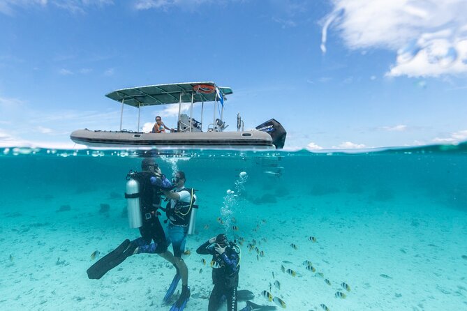 Introductory Scuba Diving Experience in Bora Bora - Key points for your Bora Bora scuba lesson