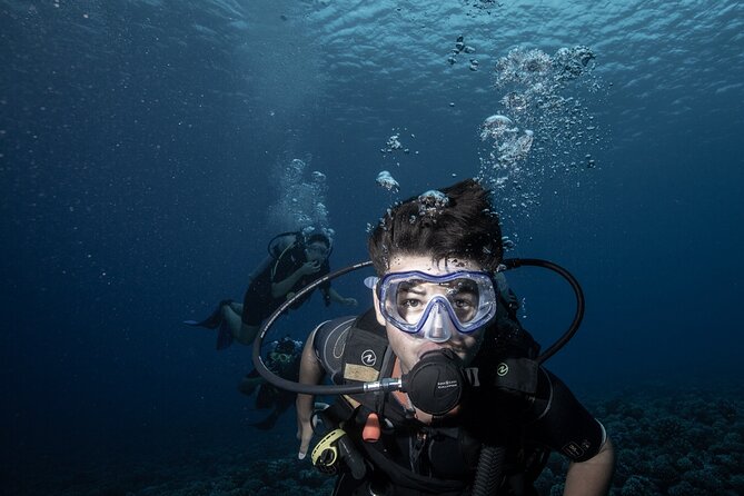 Introductory Scuba Diving Experience in Bora Bora - Why Bora Bora is a good place to learn scuba