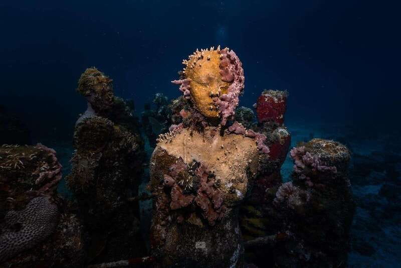 Isla Mujeres: MUSA and the Manchones Reef: 2 Tank Dive Tour - From Aqua Adventures Eco Divers to Isla Mujeres