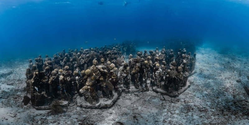 Isla Mujeres: MUSA and the Manchones Reef: 2 Tank Dive Tour - What the $125 Price Really Covers