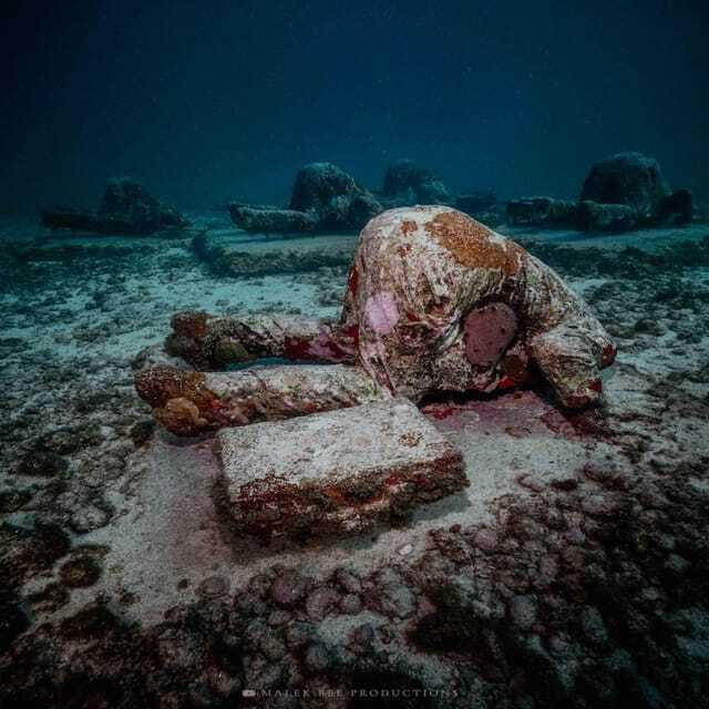 Isla Mujeres: MUSA and the Manchones Reef: 2 Tank Dive Tour - The Practical Details That Matter Underwater