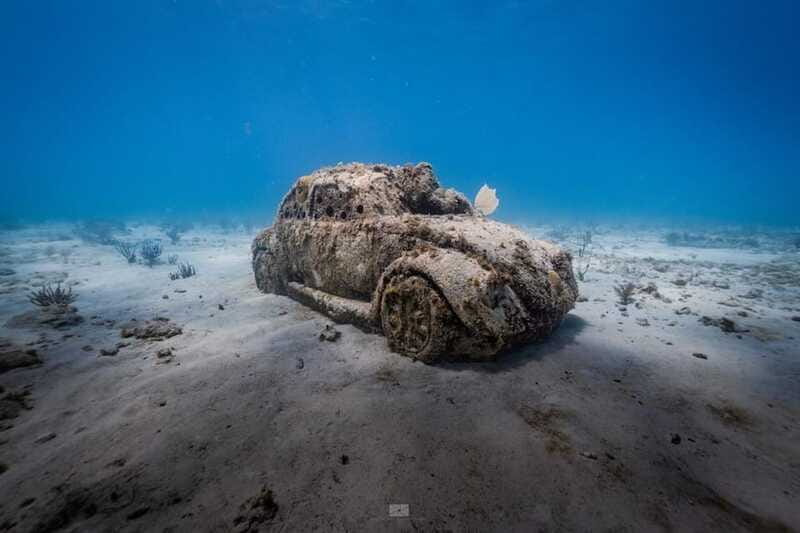 Isla Mujeres: MUSA and the Manchones Reef: 2 Tank Dive Tour - Who Will Enjoy This Outing Most