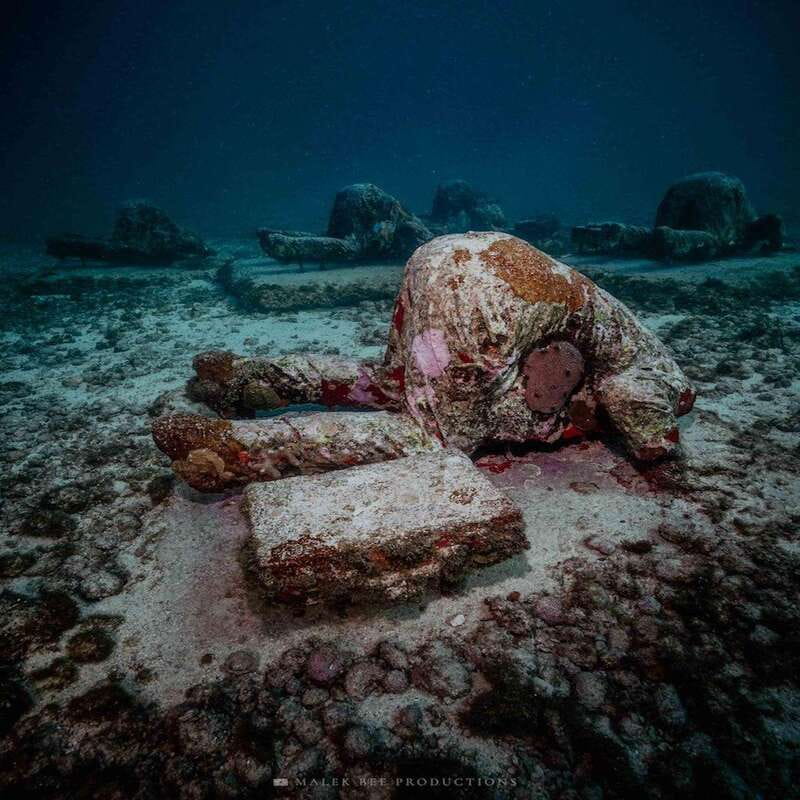 Isla Mujeres: MUSA and the Manchones Reef: 2 Tank Dive Tour - The Five-Minute Briefing Before Your First Session