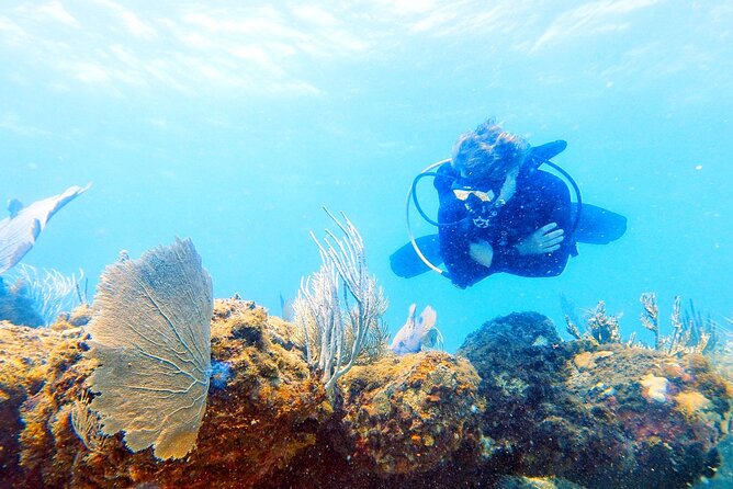 Island Wreck and Reef Scuba Excursion - What Happens Before You Enter the Water