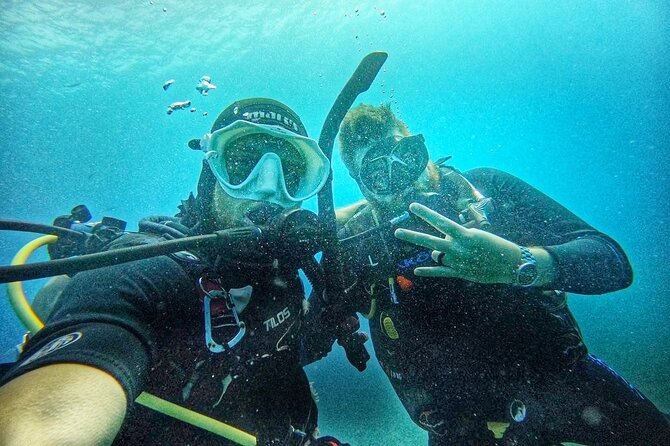 Island Wreck and Reef Scuba Excursion - Meeting at Yacht Haven Grande