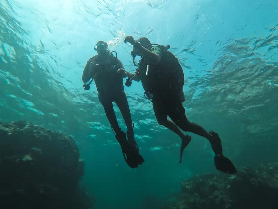 Jeddah: Red sea shore diving (Discovery) - Key points to know before booking